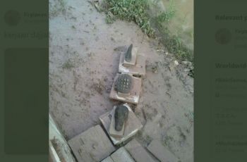 Tipuan Ilusi dari Patung Buaya (twitter.com/seterahdeh)