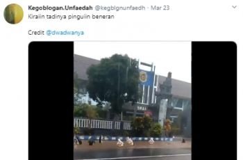Segerombolan 'Penguin' Hanyut. (twitter.com/kegblgnunfaedh)