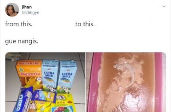 Cicak dalam Puding Cokelat (twitter.com/clingye)