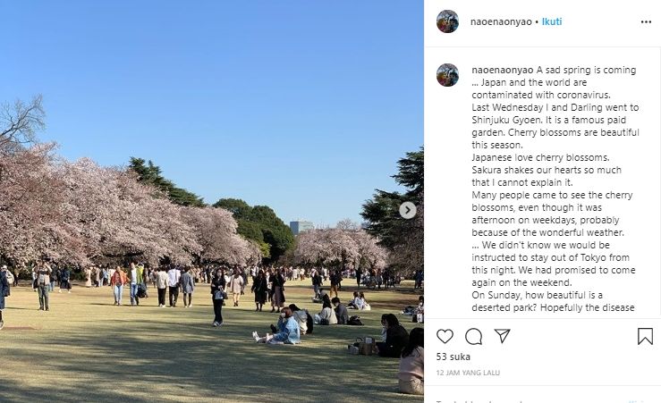 Shinjuku Gyoen di Jepang. (Instagram/@naoenaonyao)