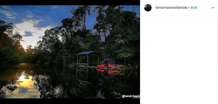 Taman Nasional Berbak. (instagram.com/tamannasionalberbak)