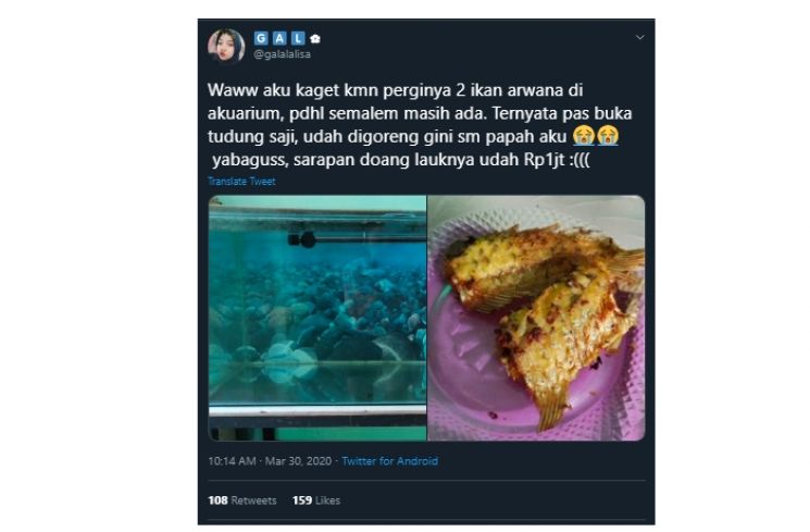 Bikin Dompet Netizen Bergetar, Bapak-bapak Ini Nekat Goreng Ikan Arwana. (Twitter/@galalalisa)