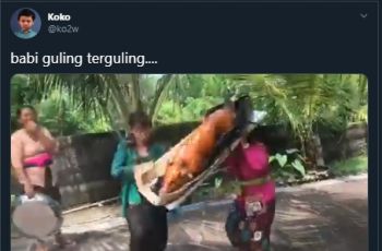 Horor Penampakan Babi Guling Terguling Ini Bikin Netizen Merinding Disko. (Twtter/@ko2w)