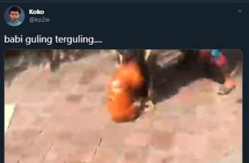 Horor Penampakan Babi Guling Terguling Ini Bikin Netizen Merinding Disko. (Twtter/@ko2w)