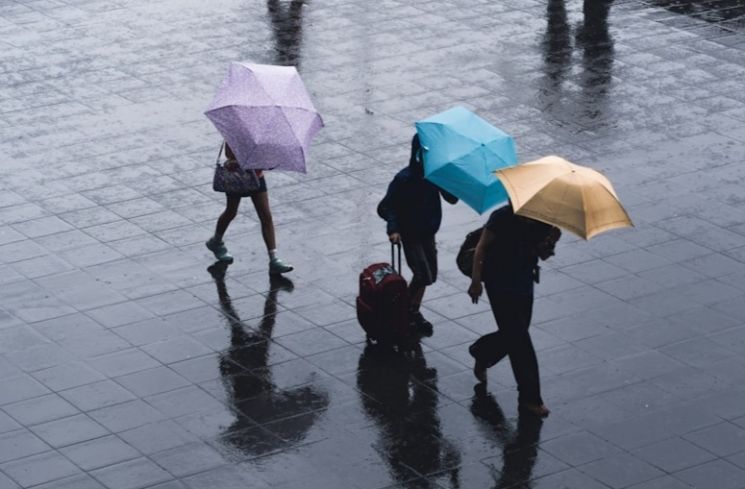 Tips Hadapi Musim Hujan Ala Anak Kos (Unsplash/ryoji_iwata)