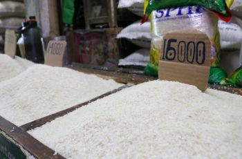 Nasi di Rumah Gak Pulen? Mungkin Kamu Kena Tipu! Ini Daftar Merek Beras 'Premium' yang Diduga Oplosan
