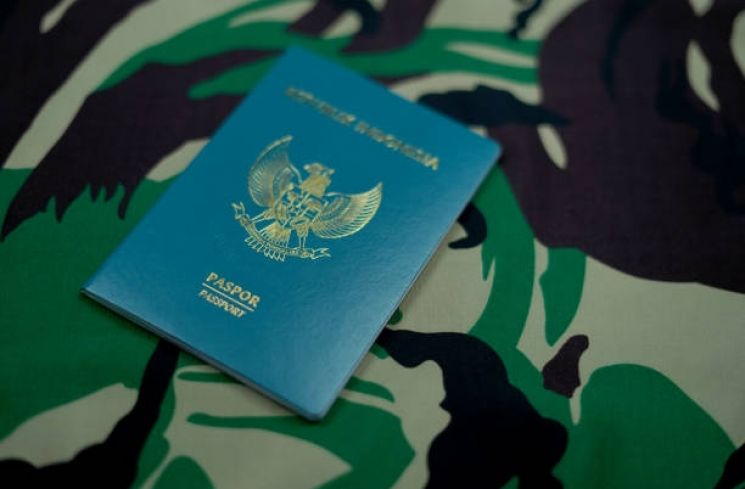 Ilustrasi Paspor. (pixabay.com)