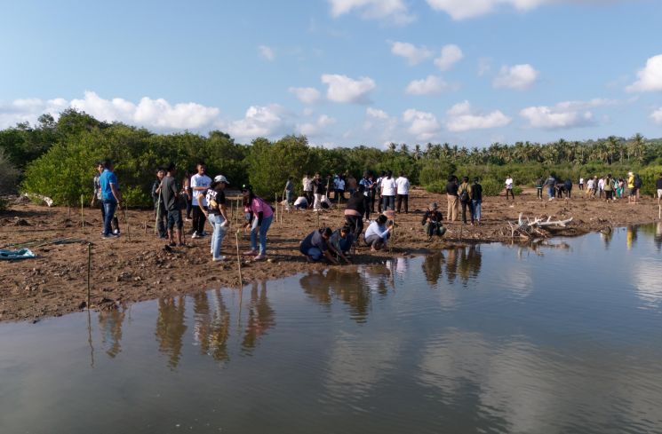 Penanaman bibit mangrove di Kawasan Wisata Mangrove Tulaika, Kelurahan Mebba, Kecamatan Sabu Barat, Rabu (23/7/2025).(Dokumentasi pribadi)