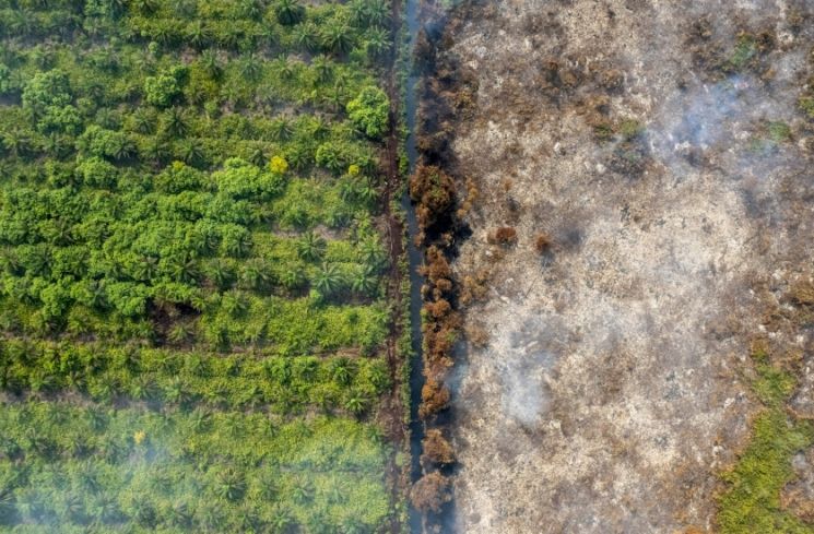 Ilustrasi kebakaran hutan dan lahan (karhutla).[ANTARA FOTO/Wahdi Septiawan/bar]