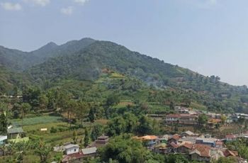 Nge-Date Anti Boncos: 5 Tempat Bernuansa Alam Jabodetabek yang Seger dan Adem