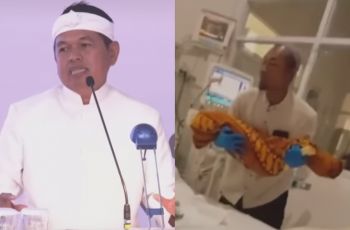 Balita Sukabumi Tewas Dipenuhi Cacing: Gubernur Dedi Mulyadi Murka, Aparat Desa Terancam Sanksi