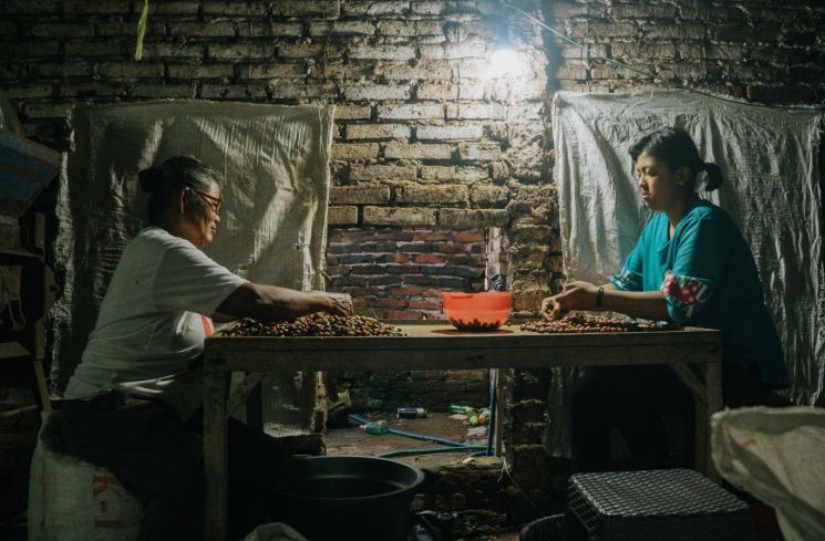 Maya, remaja berusia 17 tahun asal Temanggung, Jawa Tengah, sehari-hari membantu memilah biji kopi robusta yang dipanen petani setempat.(Dokumentasi pribadi)