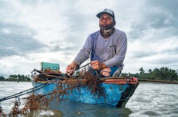 Agroforestri, Tenun, sampai Rumput Laut: Cara Komunitas di Desa Bangun Ekonomi Hijau